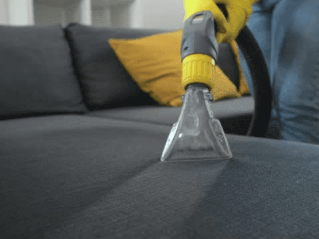 Carpet Cleaner